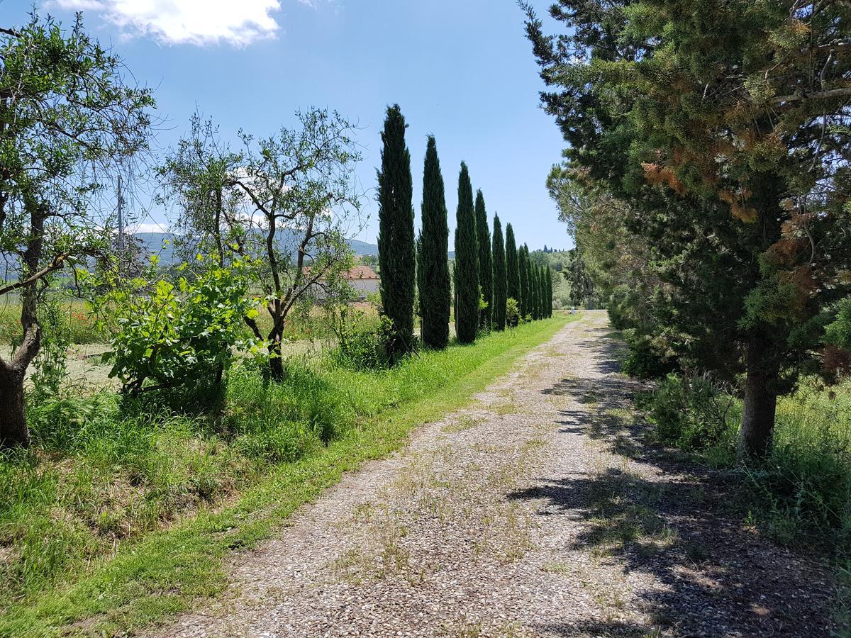 Agriturismo Bio Le 4 Stagioni Porrona Exterior photo